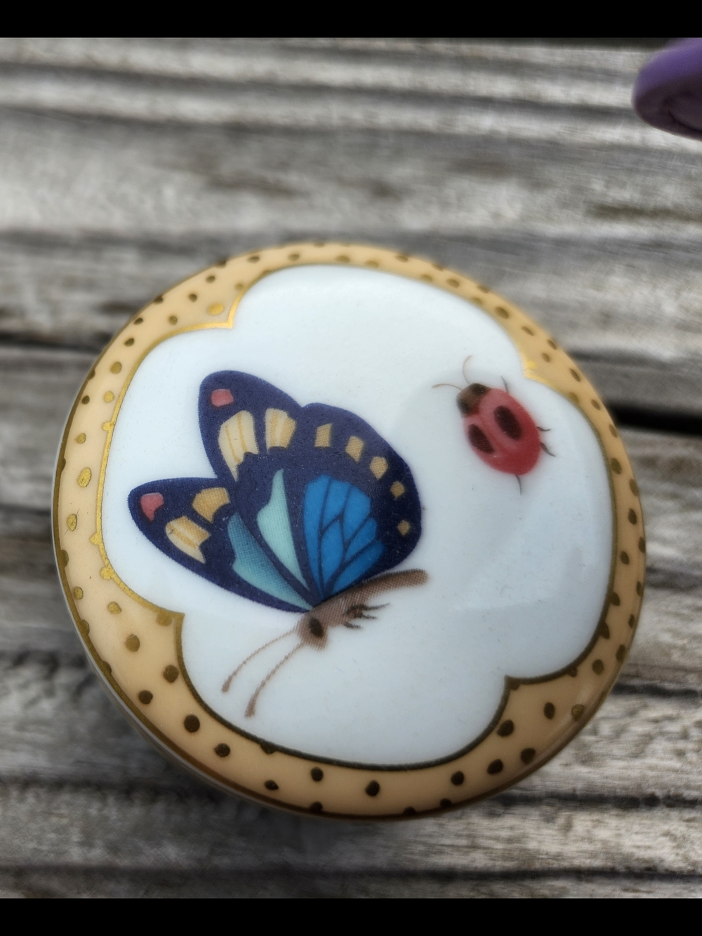 Tiffany & Co. Small Blue Butterfly and Pink bugs Porcline Trinket Box - Picture 3 of 6